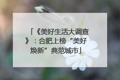 《美好生活大调查》：合肥上榜“美好焕新”典范城市