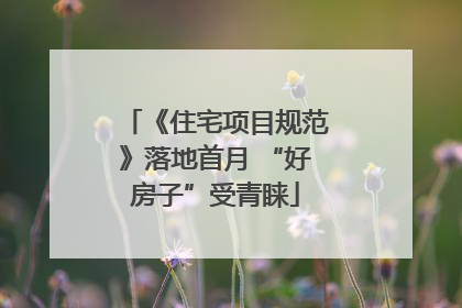 《住宅项目规范》落地首月 “好房子”受青睐