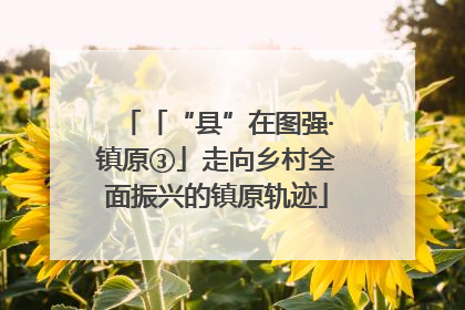 「“县”在图强·镇原③」走向乡村全面振兴的镇原轨迹