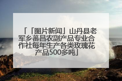 「图片新闻」山丹县老军乡蕃昌农副产品专业合作社每年生产各类玫瑰花产品500多吨