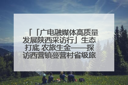 「广电融媒体高质量发展陕西采访行」生态打底 农旅生金——探访西营镇蔓营村省级旅游示范村的振兴密码