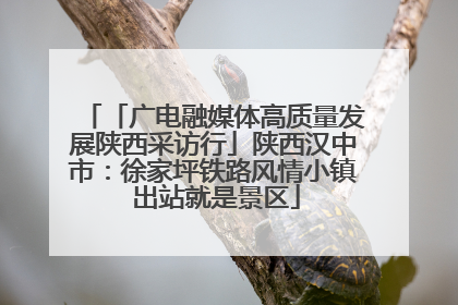 「广电融媒体高质量发展陕西采访行」陕西汉中市：徐家坪铁路风情小镇 出站就是景区