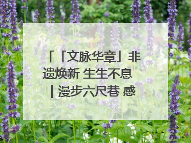 「文脉华章」非遗焕新 生生不息｜漫步六尺巷 感受礼让文化浸润的“巷”往生活