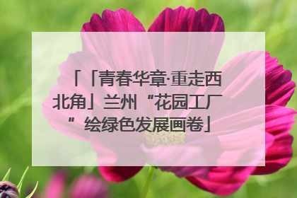 「青春华章·重走西北角」兰州“花园工厂”绘绿色发展画卷
