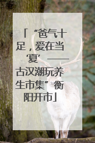 “爸气十足，爱在当‘夏’——古汉潮玩养生市集”衡阳开市
