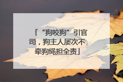 “狗咬狗”引官司，狗主人屡次不牵狗绳担全责