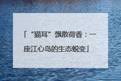 “猫耳”飘散荷香：一座江心岛的生态蜕变