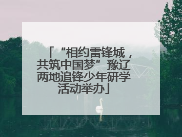 “相约雷锋城，共筑中国梦”豫辽两地追锋少年研学活动举办