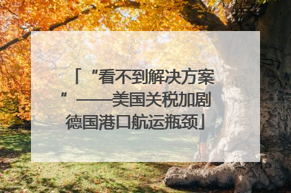 “看不到解决方案”——美国关税加剧德国港口航运瓶颈