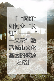 “网红”如何变“长红”——“一朵花”激活城市文化基因的破题之路