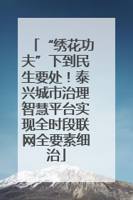 “绣花功夫”下到民生要处！泰兴城市治理智慧平台实现全时段联网全要素细治