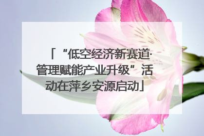 “低空经济新赛道·管理赋能产业升级”活动在萍乡安源启动