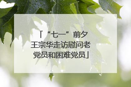 “七一”前夕 王宗华走访慰问老党员和困难党员