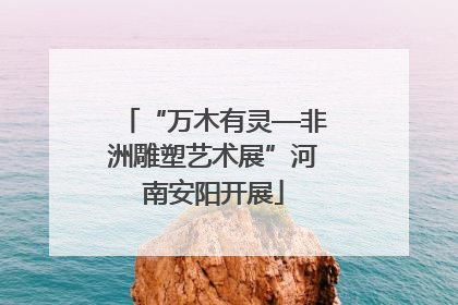 “万木有灵—非洲雕塑艺术展”河南安阳开展