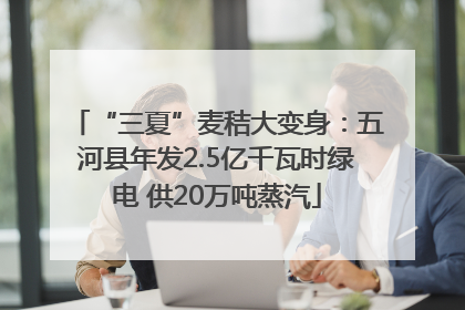 “三夏”麦秸大变身：五河县年发2.5亿千瓦时绿电 供20万吨蒸汽
