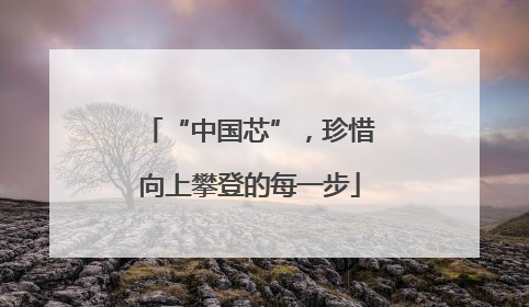 “中国芯”，珍惜向上攀登的每一步