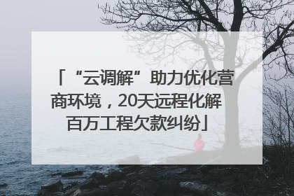 “云调解”助力优化营商环境，20天远程化解百万工程欠款纠纷