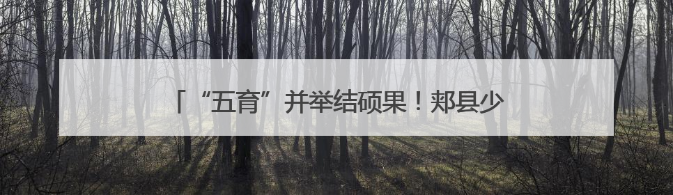 “五育”并举结硕果！郏县少儿体操队在省锦标赛勇创佳绩