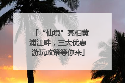 “仙境”亮相黄浦江畔，三大优惠游玩政策等你来