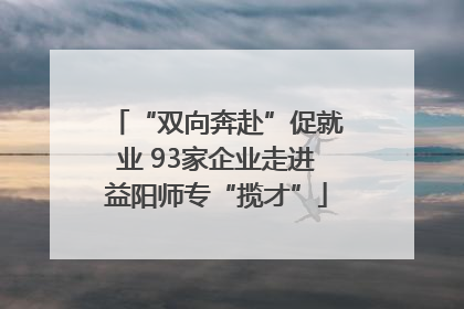 “双向奔赴”促就业 93家企业走进益阳师专“揽才”