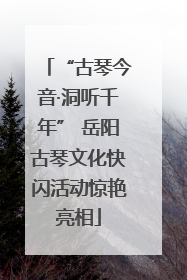 “古琴今音·洞听千年” 岳阳古琴文化快闪活动惊艳亮相