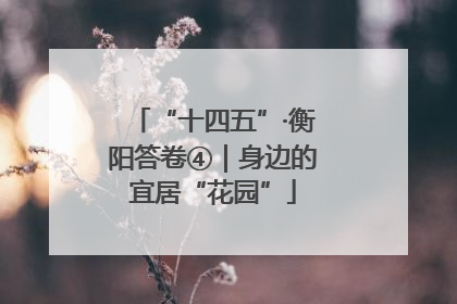 “十四五”·衡阳答卷④｜身边的宜居“花园”