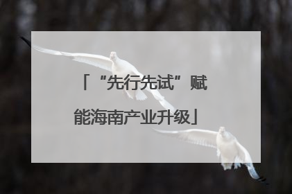 “先行先试”赋能海南产业升级