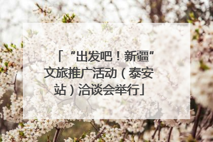 “出发吧！新疆”文旅推广活动（泰安站）洽谈会举行