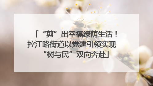 “剪”出幸福绿荫生活！控江路街道以党建引领实现“树与民”双向奔赴
