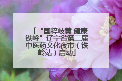 “国粹岐黄 健康铁岭”辽宁省第二届中医药文化夜市（铁岭站）启动