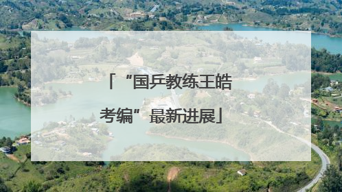 “国乒教练王皓考编”最新进展