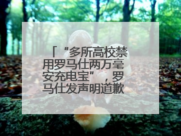 “多所高校禁用罗马仕两万毫安充电宝”，罗马仕发声明道歉：已展开核查