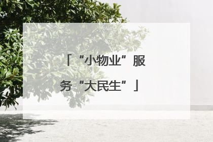 “小物业”服务“大民生”
