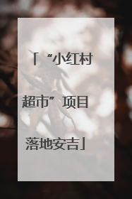 “小红村超市”项目落地安吉