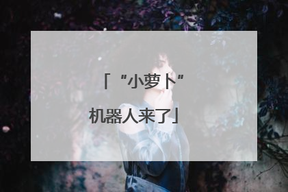 “小萝卜”机器人来了