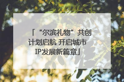 “尔滨礼物”共创计划启航 开启城市IP发展新篇章