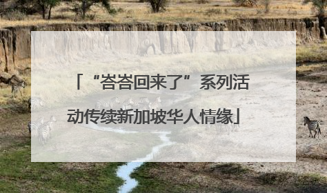 “峇峇回来了”系列活动传续新加坡华人情缘