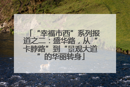 “幸福市西”系列报道之二：盛华路，从“卡脖路”到“景观大道”的华丽转身