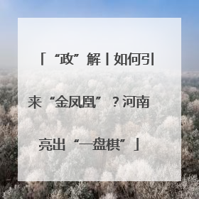 “政”解丨如何引来“金凤凰”？河南亮出“一盘棋”
