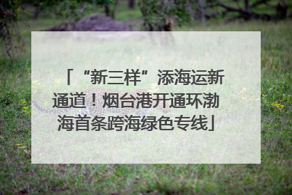 “新三样”添海运新通道！烟台港开通环渤海首条跨海绿色专线