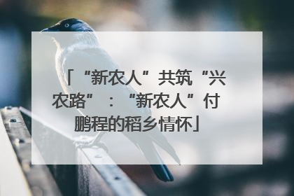 “新农人”共筑“兴农路”：“新农人”付鹏程的稻乡情怀