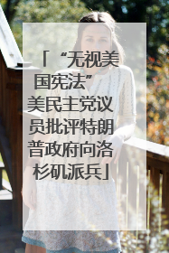 “无视美国宪法” 美民主党议员批评特朗普政府向洛杉矶派兵