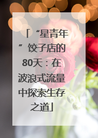 “星青年”饺子店的80天：在波浪式流量中探索生存之道