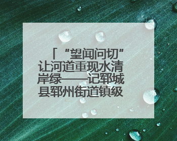 “望闻问切”让河道重现水清岸绿——记郓城县郓州街道镇级河长孟泓辰