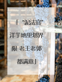 “泥法官”洋芋地里划界限 老王老郭都满意