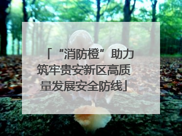 “消防橙”助力筑牢贵安新区高质量发展安全防线
