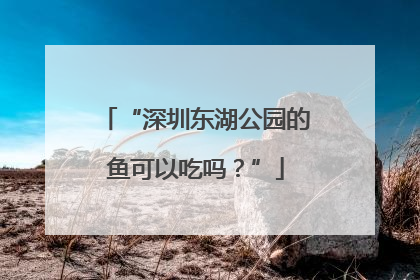 “深圳东湖公园的鱼可以吃吗？”