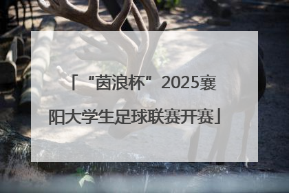 “茵浪杯”2025襄阳大学生足球联赛开赛