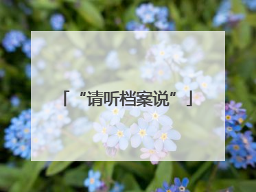 “请听档案说”