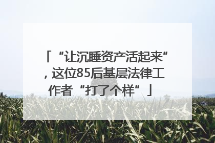 “让沉睡资产活起来”，这位85后基层法律工作者“打了个样”